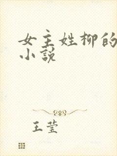女主姓柳的穿越小说封面