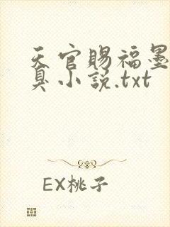 天官赐福墨香铜臭小说.txt