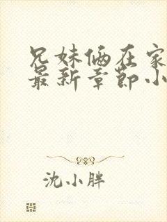 兄妹俩在家偷香最新章节小说封面