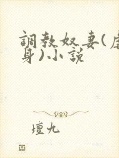 调教奴妻(虐女身)小说