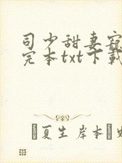 司少甜妻宠定了完本txt下载