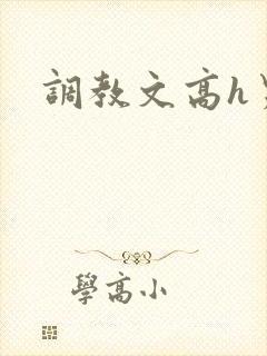 调教文高h男男
