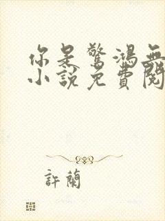 你是惊鸿无欢喜小说免费阅读