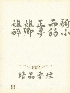 姐姐正面骑乘我醉卿梦的小说