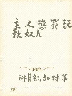 主人惩罚玩弄调教奴h