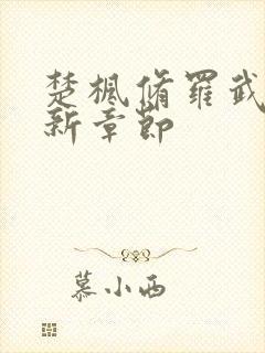 楚枫修罗武神全新章节