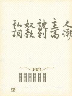 私奴被主人玩弄调教到高潮小说