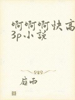 啊啊啊快高潮了3p小说