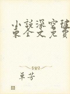 小说深空彼岸辰东全文免费阅读全文