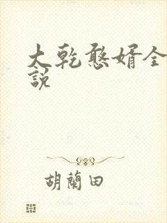 大乾憨婿全的小说