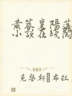 黄蓉襄阳落难记小说在线阅读