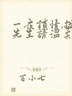 一夜锁情,总裁先生请温柔下载全本txt