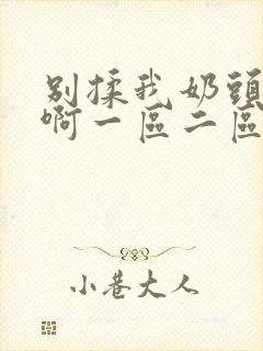 别揉我奶头嗯～啊一区二区三区