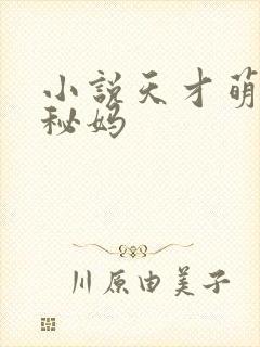 小说天才萌宝神秘妈