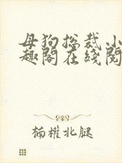 母狗总裁小说笔趣阁在线阅读