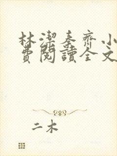 林洁秦齐小说免费阅读全文最新章节