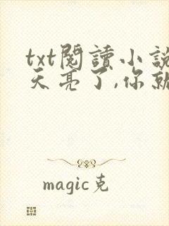 txt阅读小说天亮了,你就回来了