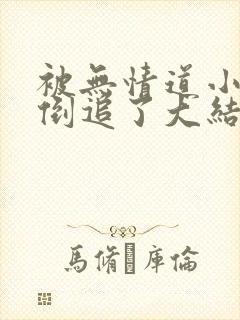 被无情道小师弟倒追了大结局