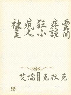 被疯狂疼爱的小美人小说简介