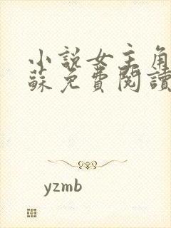 小说女主角林苏苏免费阅读