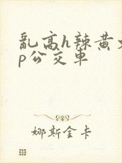 乱高h辣黄文np公交车