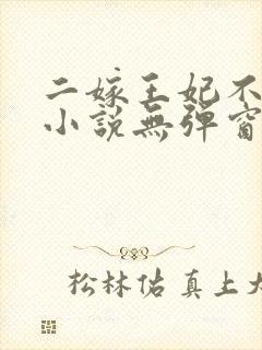 二嫁王妃不好惹小说无弹窗