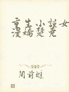 重生小说女主秦漫娇楚尧封面