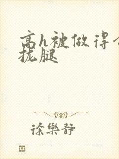 高h被做得合不拢腿封面