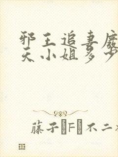 邪王追妻废材逆天小姐多少字