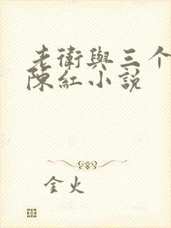老卫与三个媳妇陈红小说