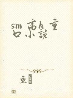 sm 高h 重口小说
