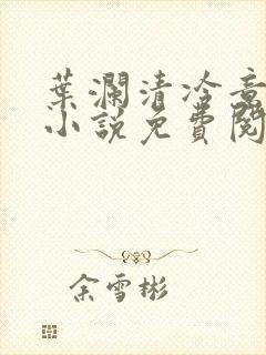 叶澜清冷意欢的小说免费阅读