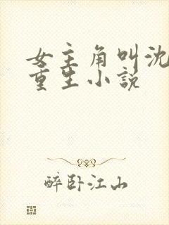 女主角叫沈晚的重生小说