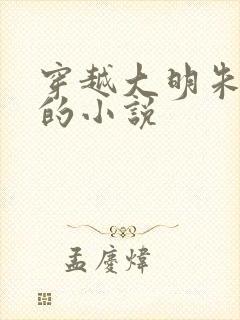 穿越大明朱高煦的小说