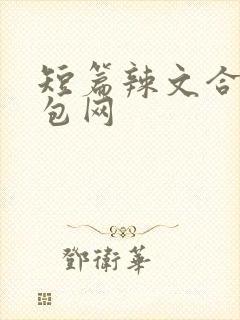 短篇辣文合集书包网