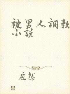 被男人调教sm小说