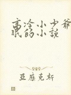 高冷小少爷被催眠的小说