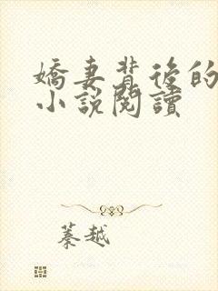 娇妻背后的秘密小说阅读