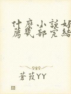 什么小说好看推荐几部完结的言情