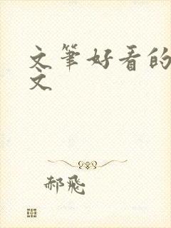 文笔好看的高干文