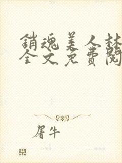 销魂美人林婷婉全文免费阅读小说