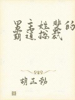 男主姓裴的小说霸道总裁封面