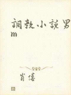 调教小说男s女m封面