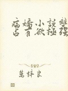 病娇小说双男主占有欲极强