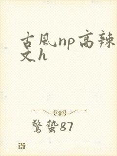 古风np高辣爽文h封面