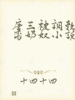 唐三被调教成禁脔奶奴小说