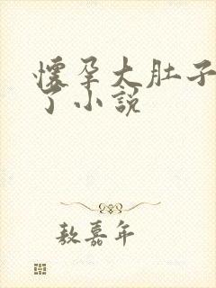 怀孕大肚子快生了小说