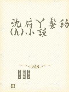 沈府丫鬟的淫史(h)小说