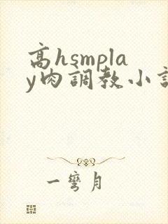 高hsmplay肉调教小说