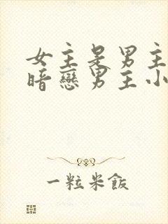 女主是男主秘书暗恋男主小说封面